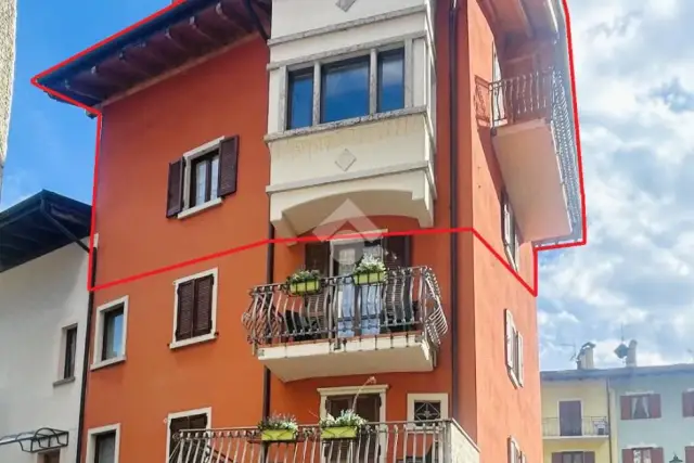 insertion image