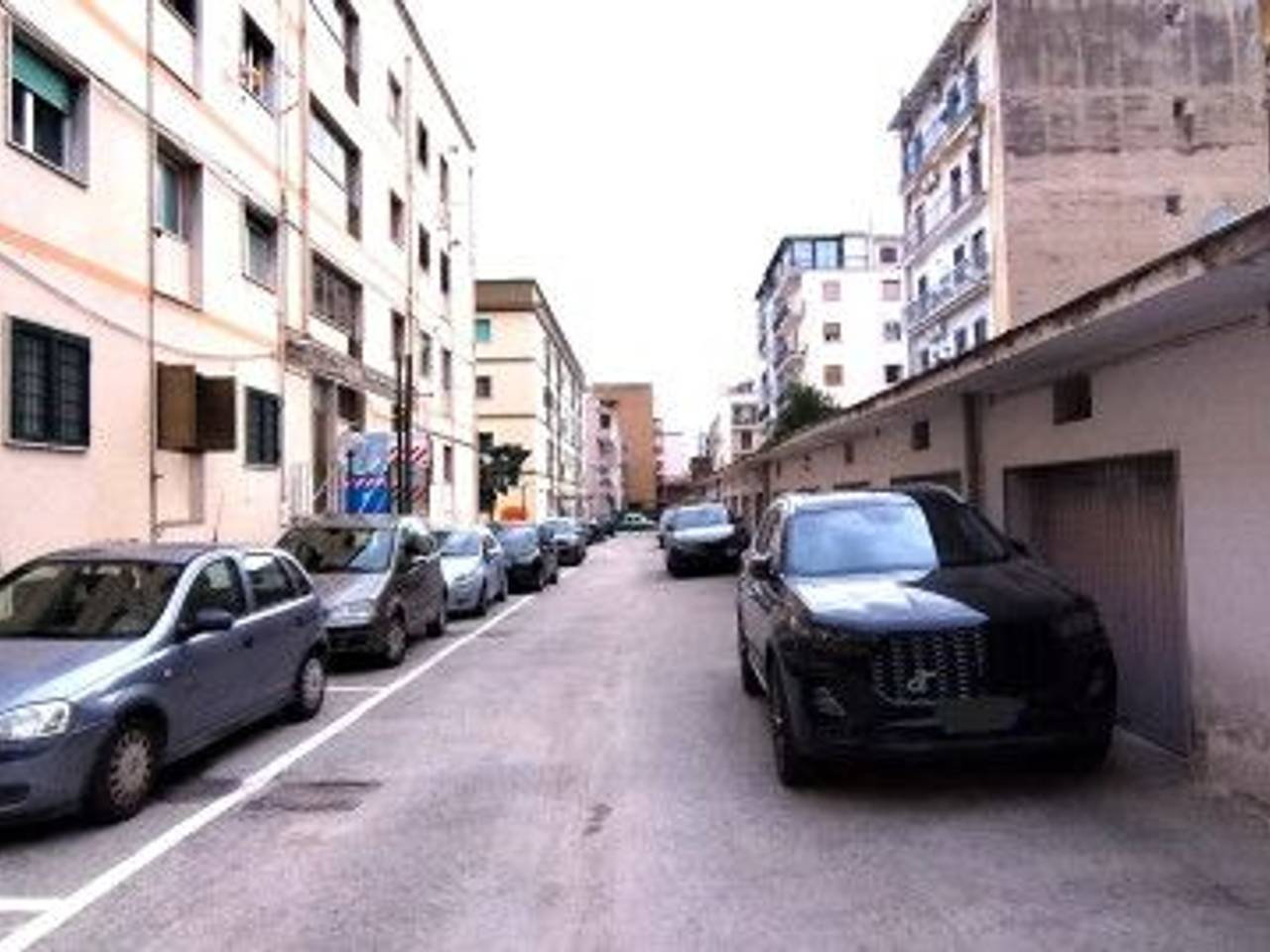 immagine annuncio 12 di 14