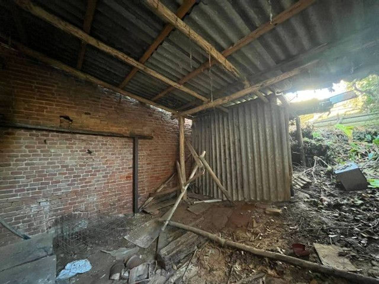 immagine annuncio 5 di 11