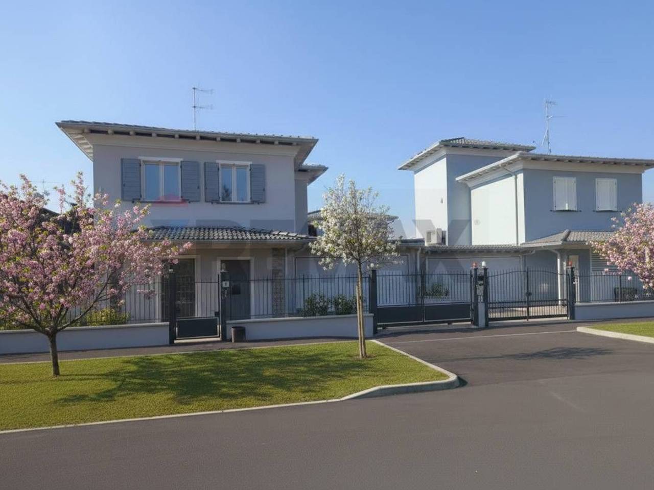 immagine annuncio 5 di 8