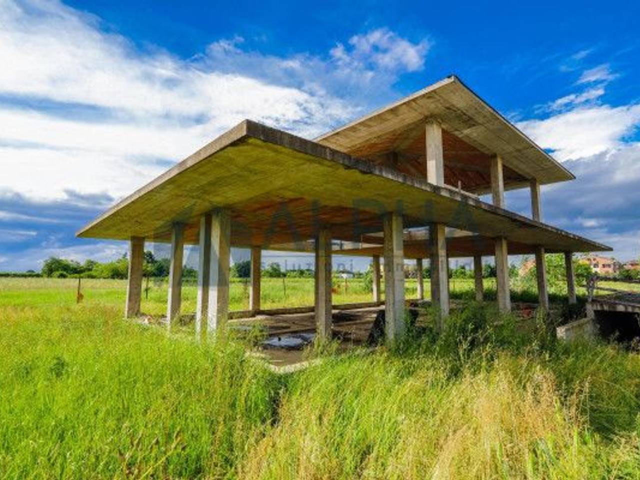 immagine annuncio 3 di 8