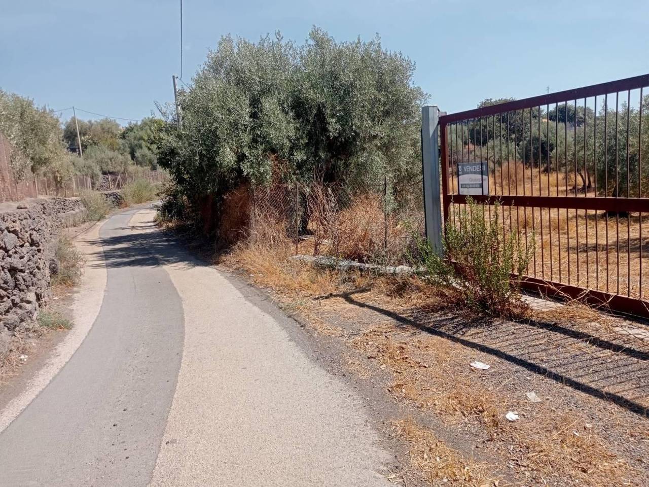 immagine annuncio 2 di 7