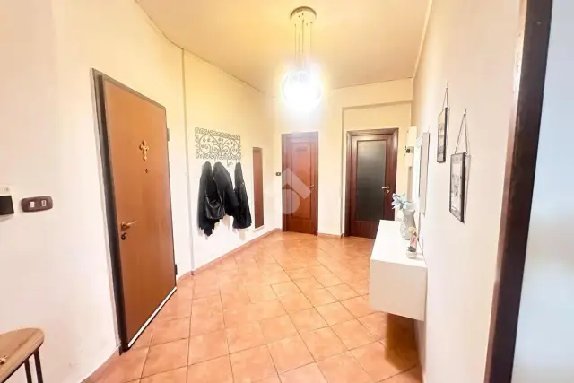 insertion image