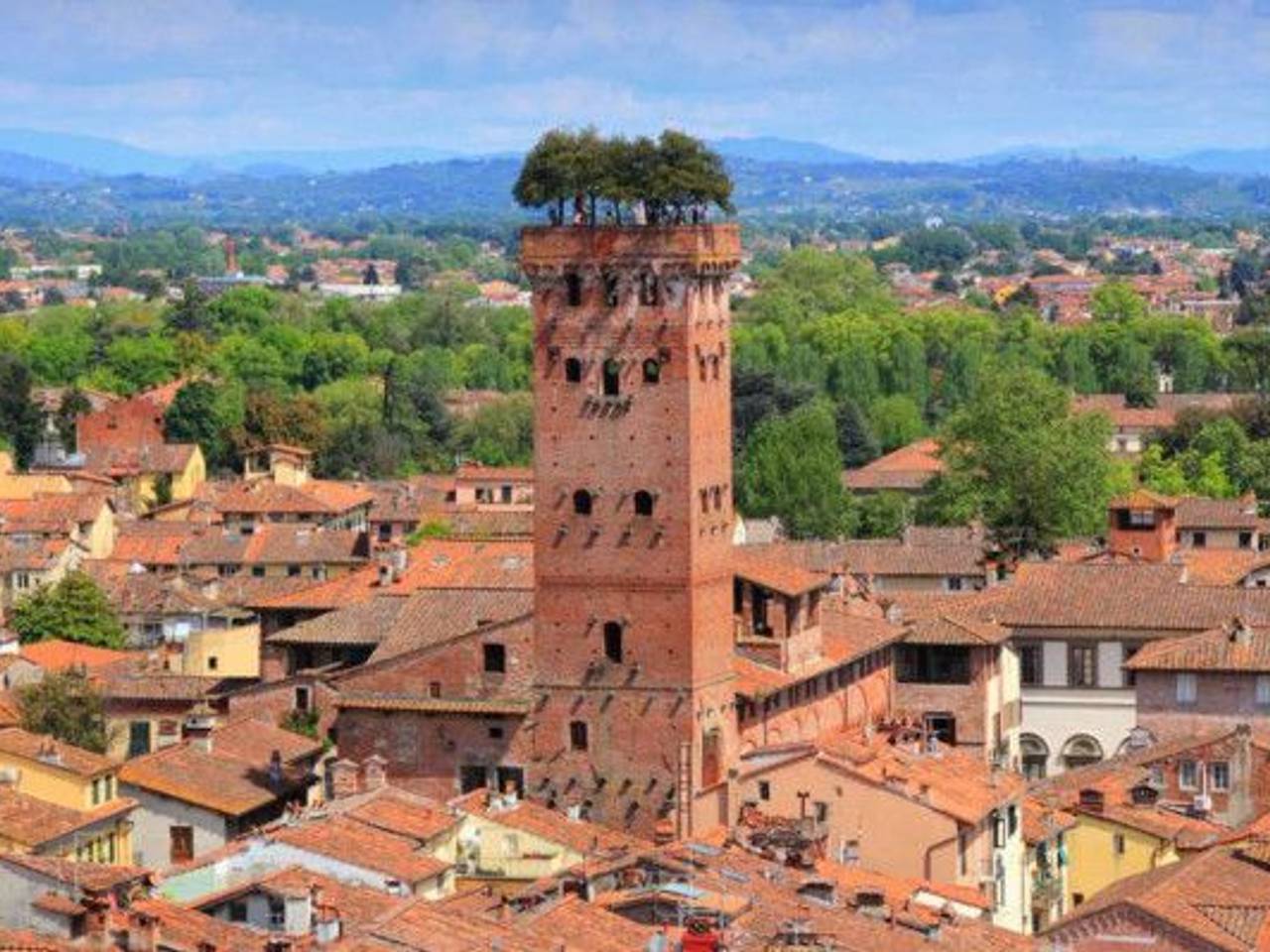 immagine annuncio 8 di 10