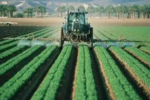 Terreno agricolo in Strada Provinciale Cisterna Carano Aprilia, Cisterna di Latina - Foto 1