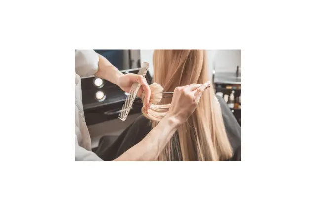 insertion image