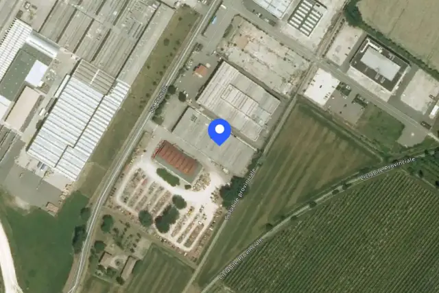 insertion image