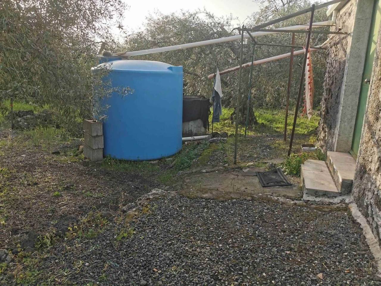 immagine annuncio 7 di 14