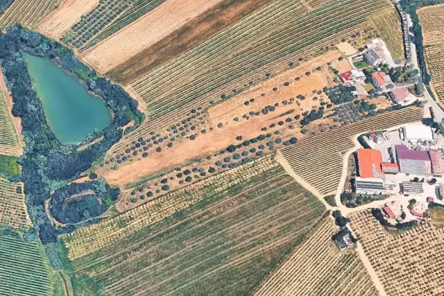 insertion image