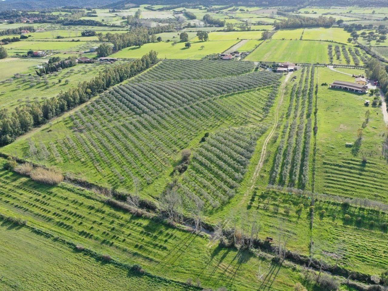 immagine annuncio 1 di 6