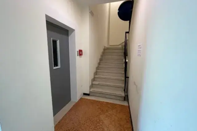 insertion image