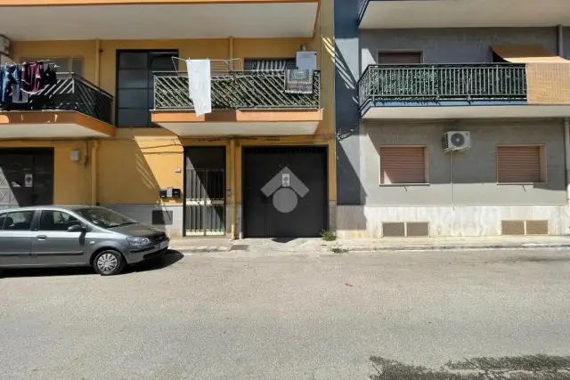 insertion image