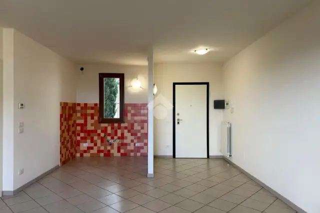 insertion image