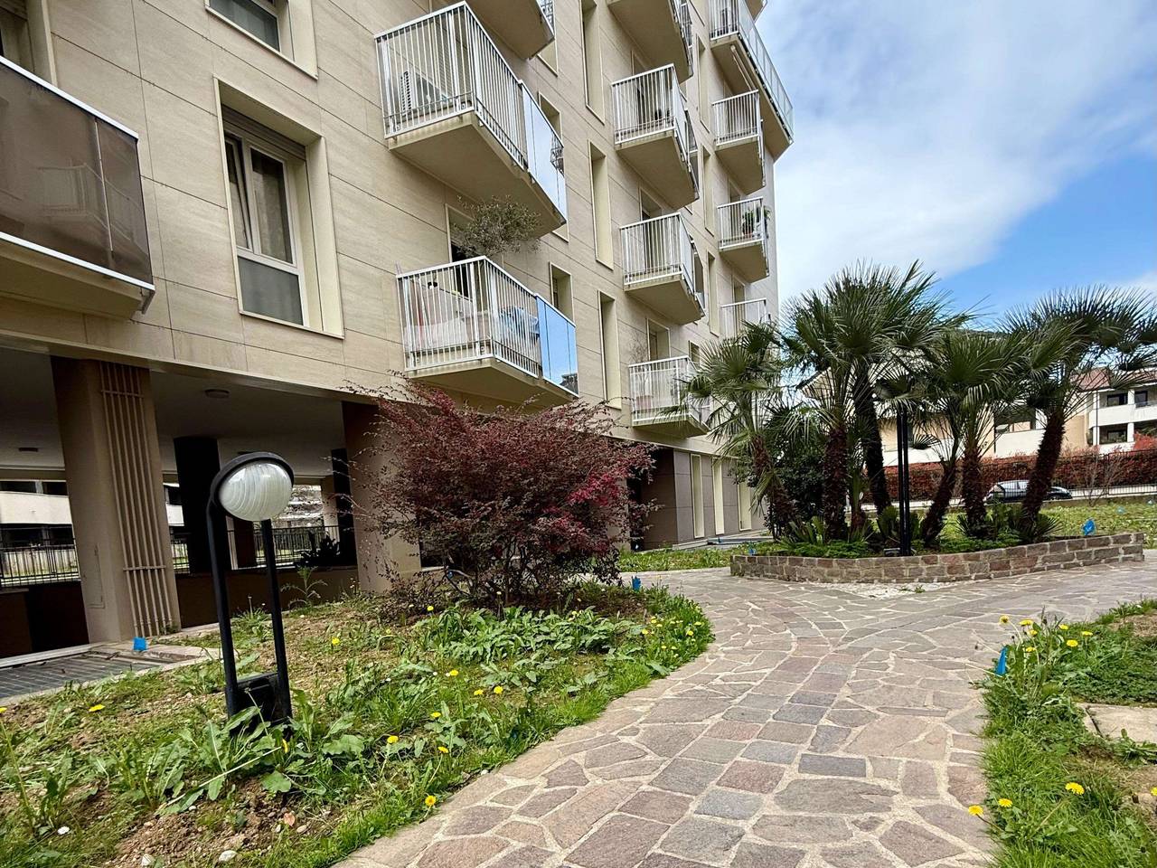 immagine annuncio 5 di 15