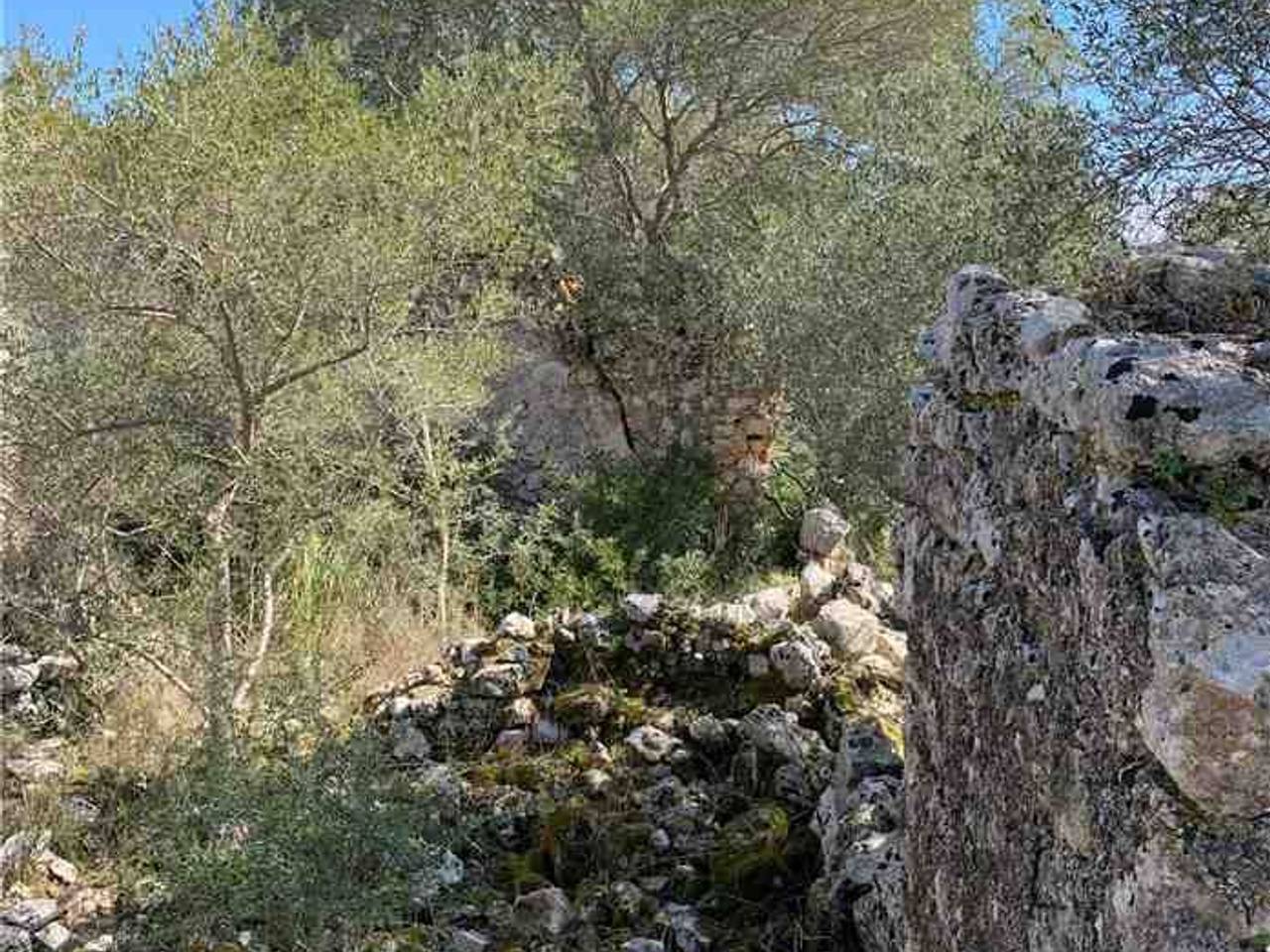 immagine annuncio 7 di 12