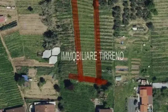 insertion image