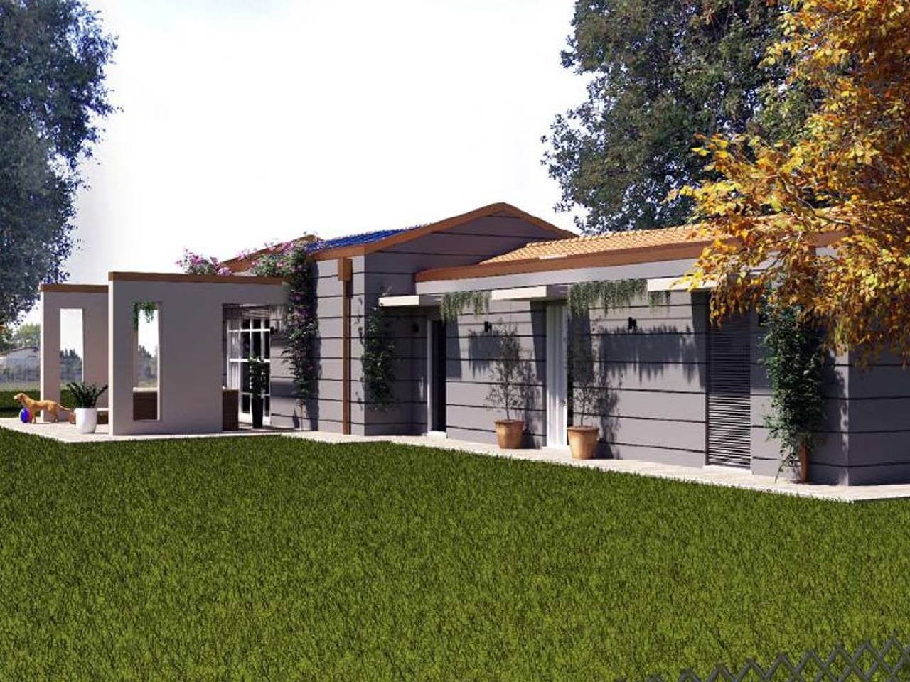 immagine annuncio 2 di 15