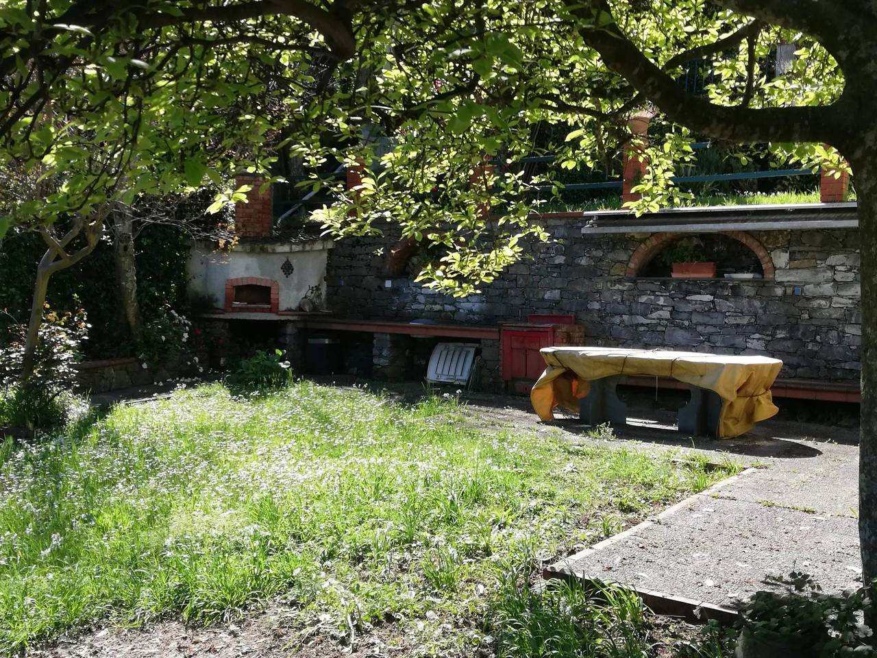 immagine annuncio 12 di 15