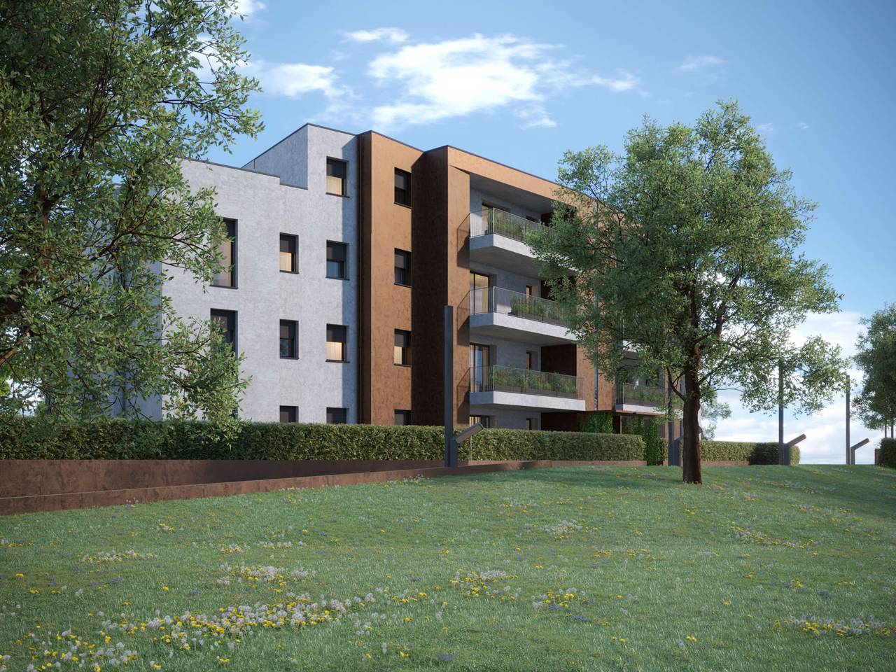 immagine annuncio 11 di 15