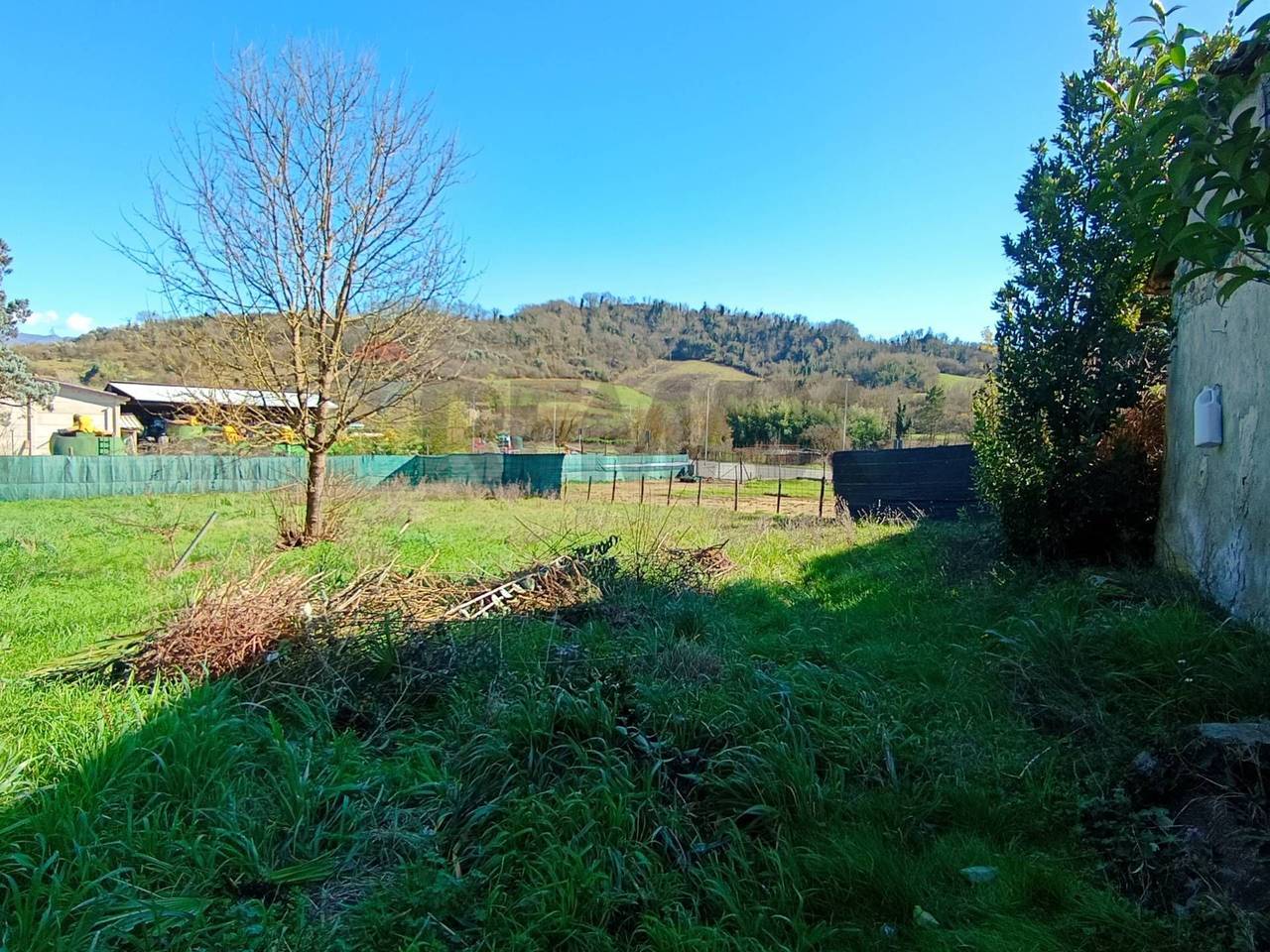 immagine annuncio 2 di 6