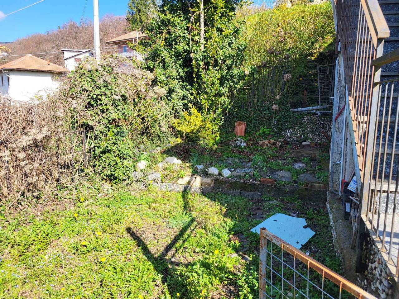 immagine annuncio 8 di 15