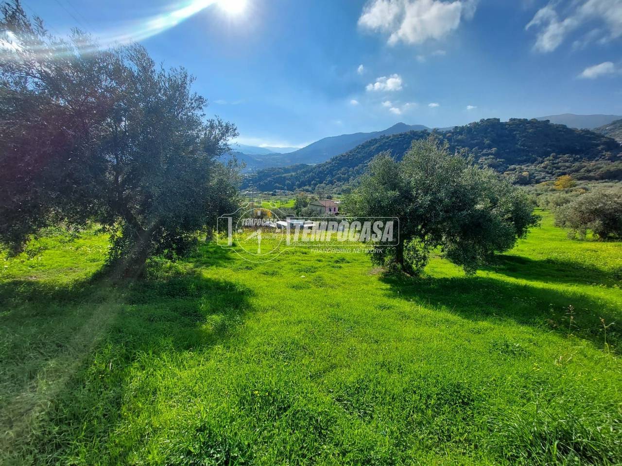 immagine annuncio 7 di 12