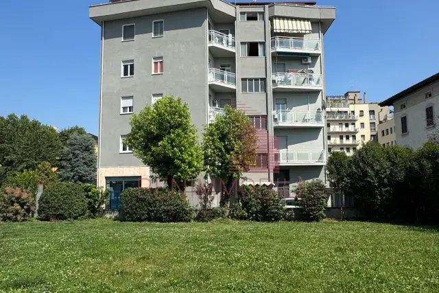 insertion image