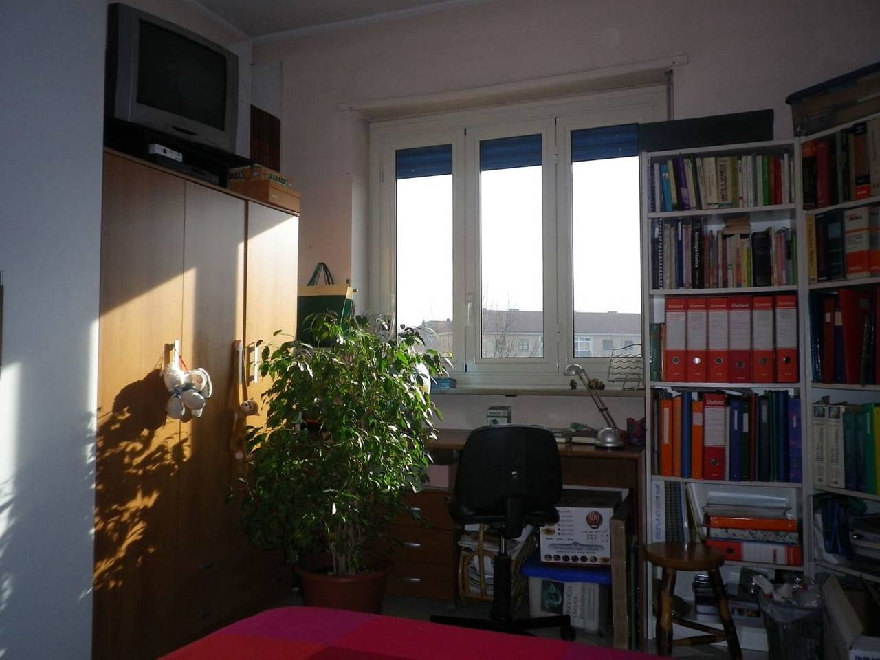 immagine annuncio 10 di 15