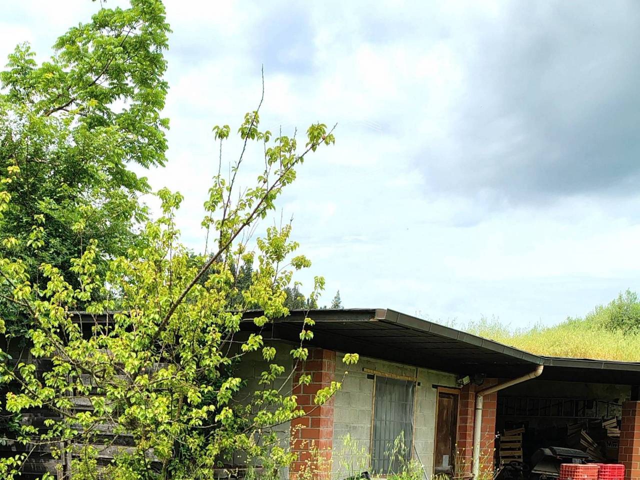 immagine annuncio 2 di 7