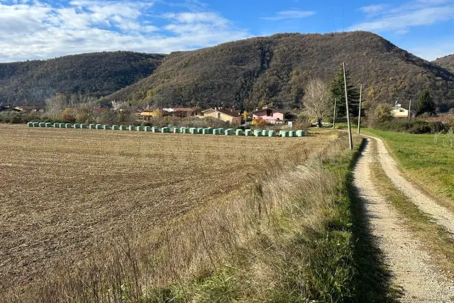 insertion image