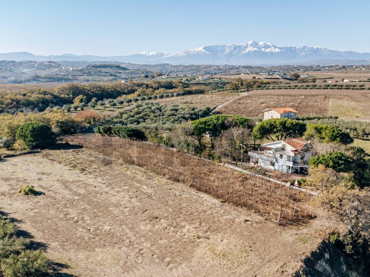 immagine annuncio 2 di 6