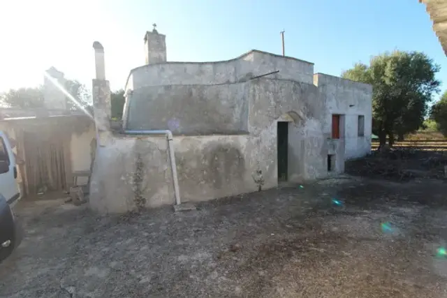 insertion image