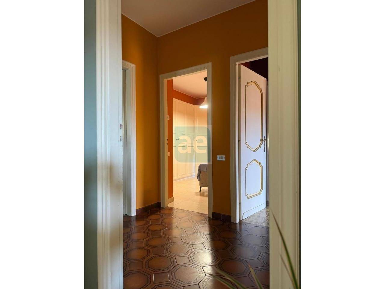 immagine annuncio 9 di 14