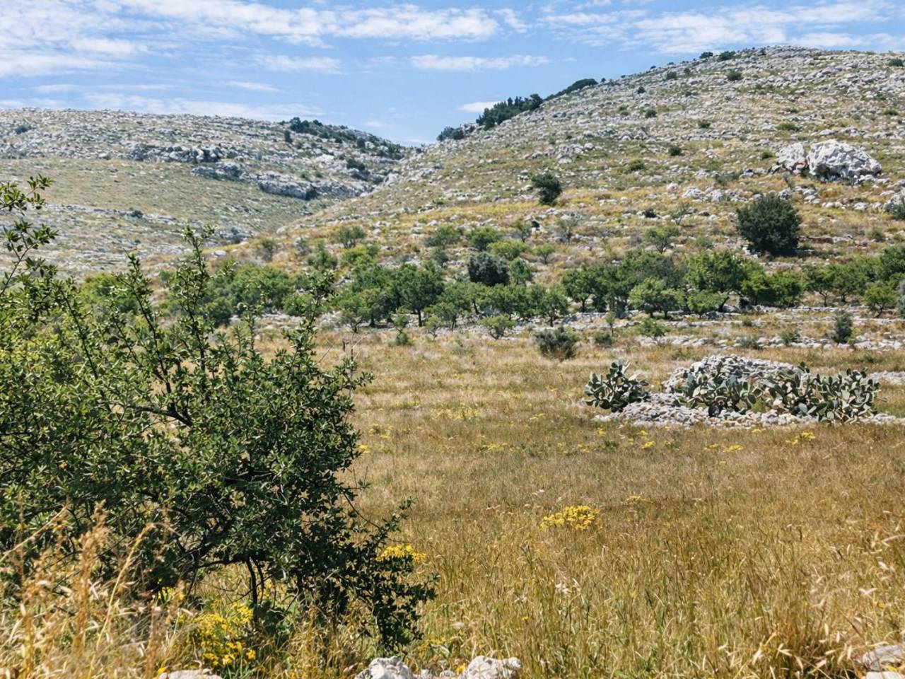 immagine annuncio 4 di 6