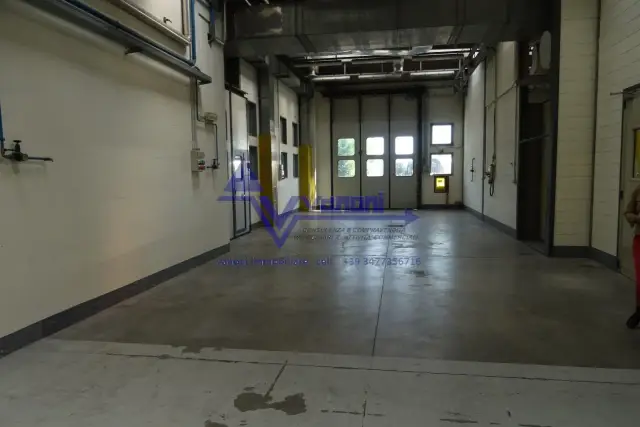 insertion image