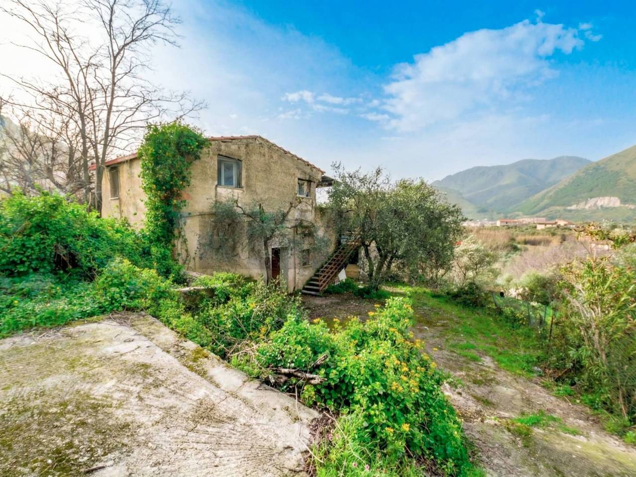 immagine annuncio 1 di 15