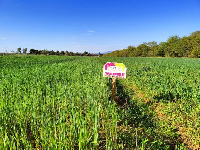 Terreno agricolo in Via Imperia, Nettuno - Foto 1