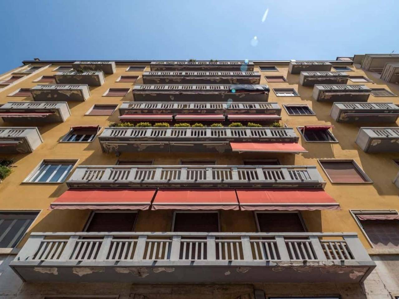 immagine annuncio 12 di 15