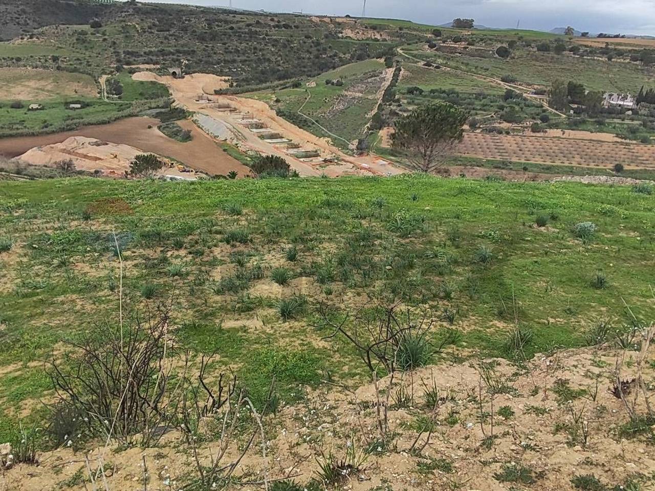 immagine annuncio 11 di 13