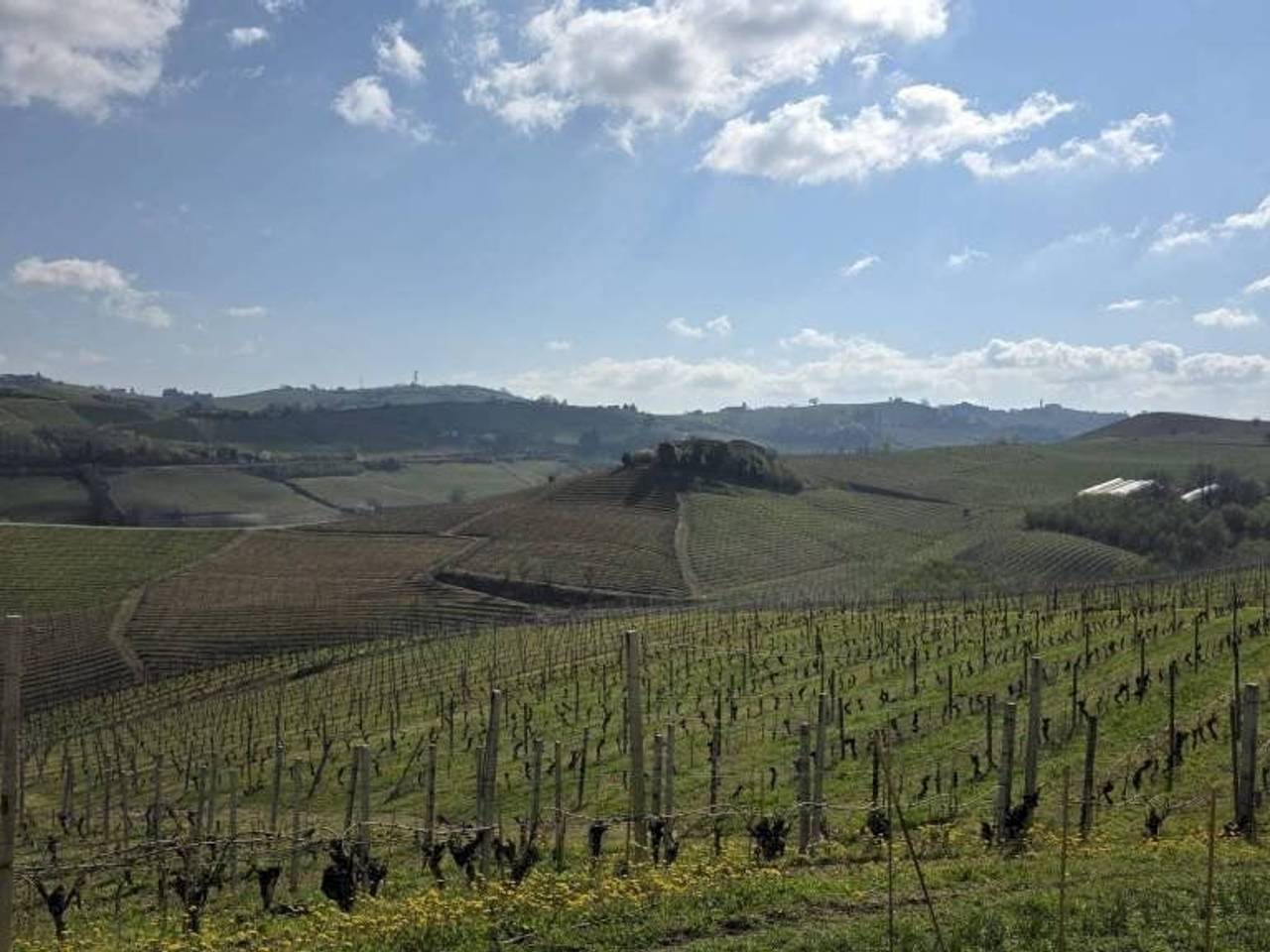 immagine annuncio 12 di 15