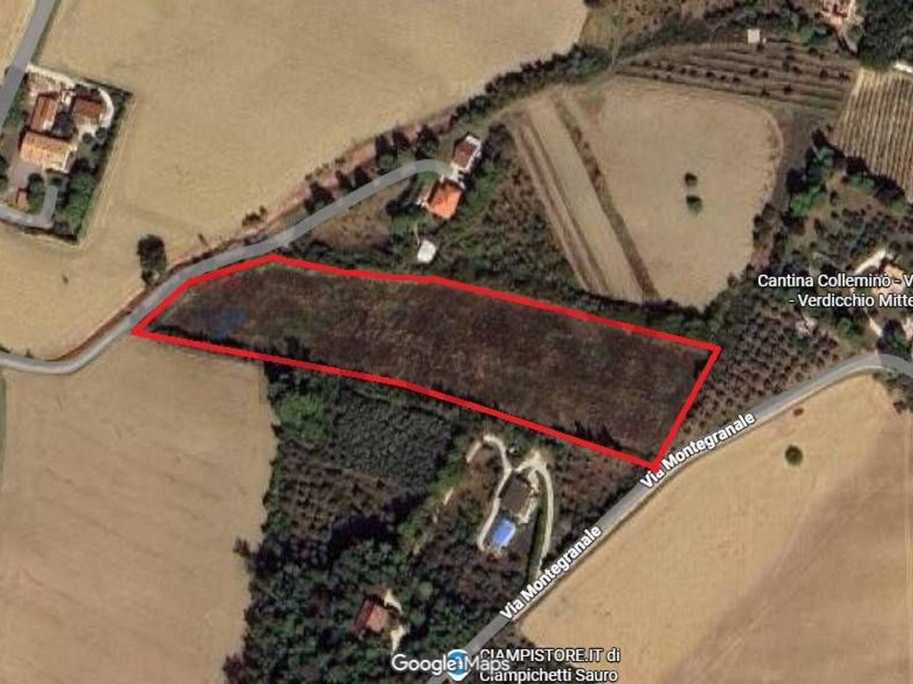 immagine annuncio 1 di 10