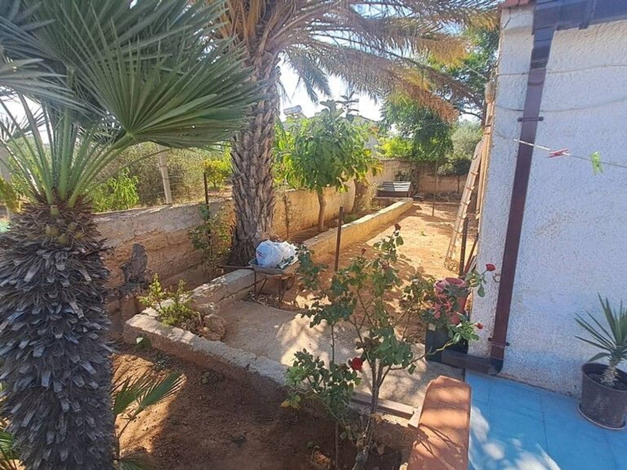 immagine annuncio 4 di 6