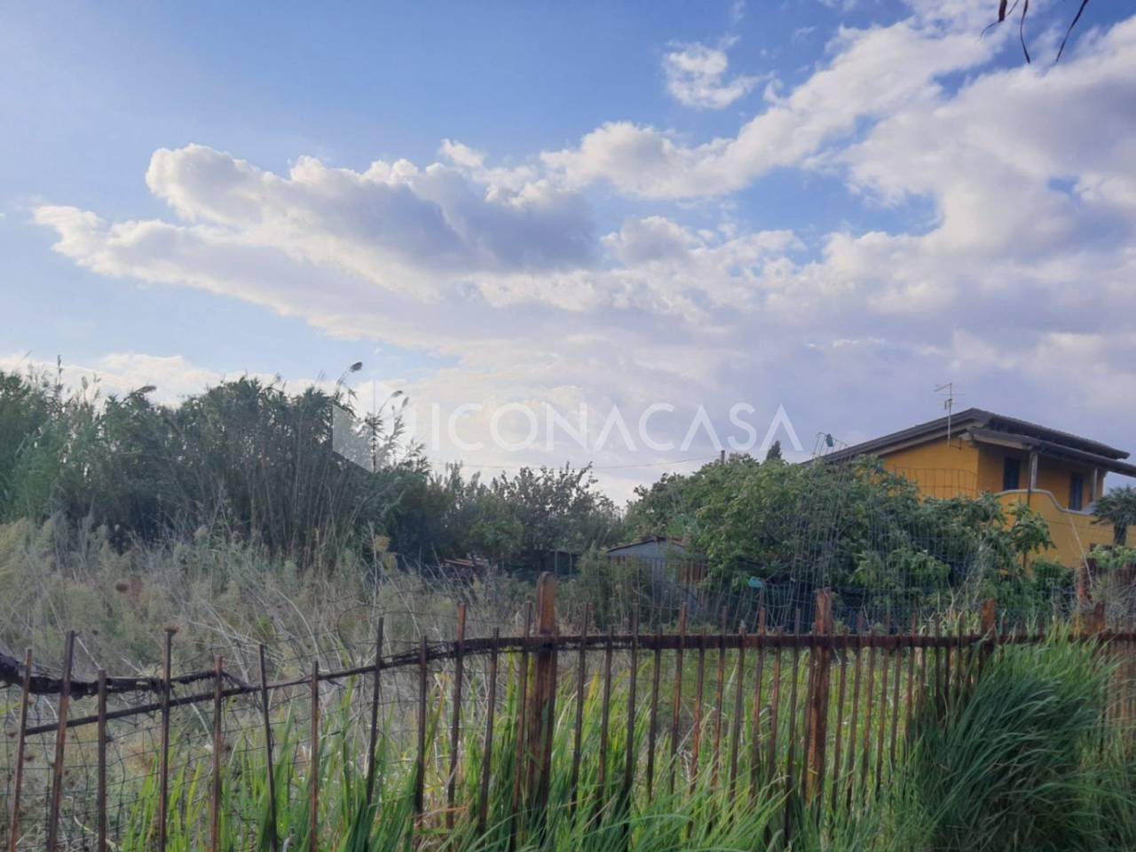 immagine annuncio 3 di 6