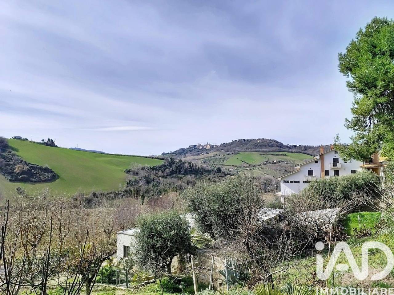 immagine annuncio 10 di 14