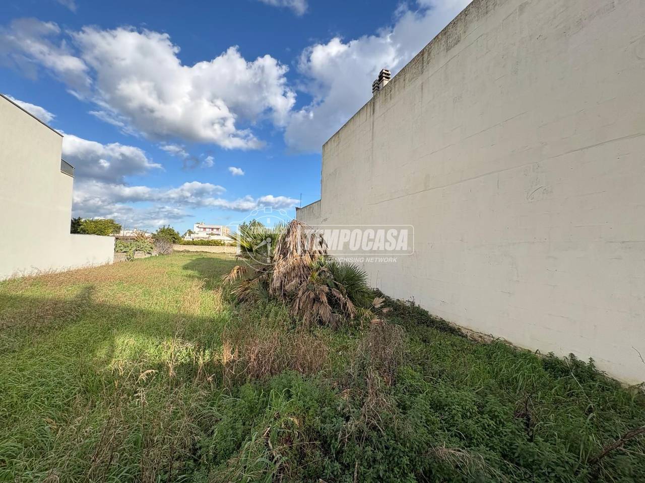 immagine annuncio 2 di 11