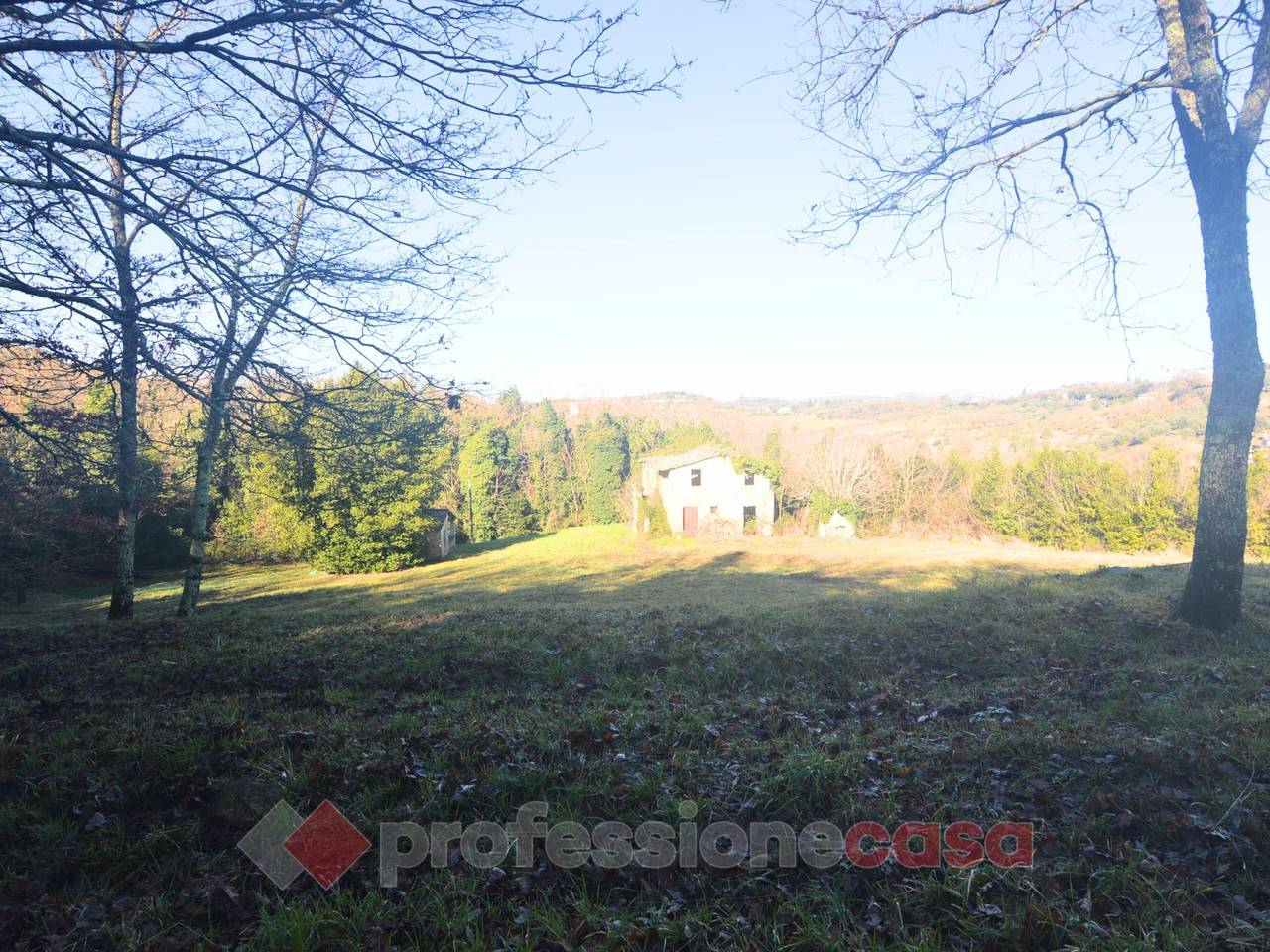 immagine annuncio 9 di 11