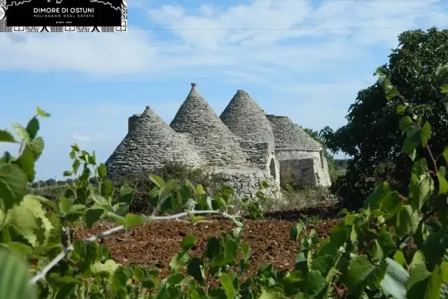 Country house or cottage, Martina Franca - Photo 1