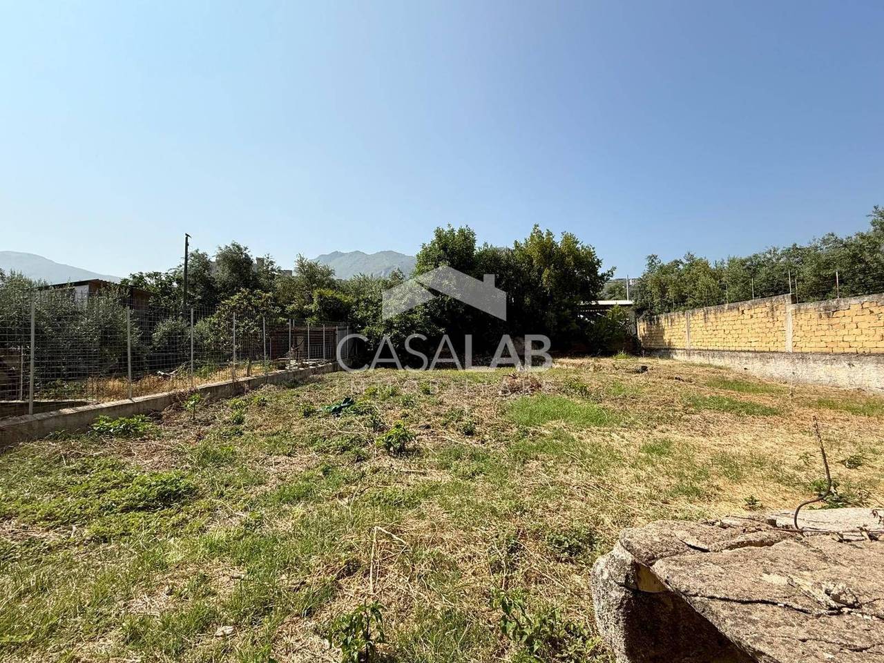 immagine annuncio 10 di 12