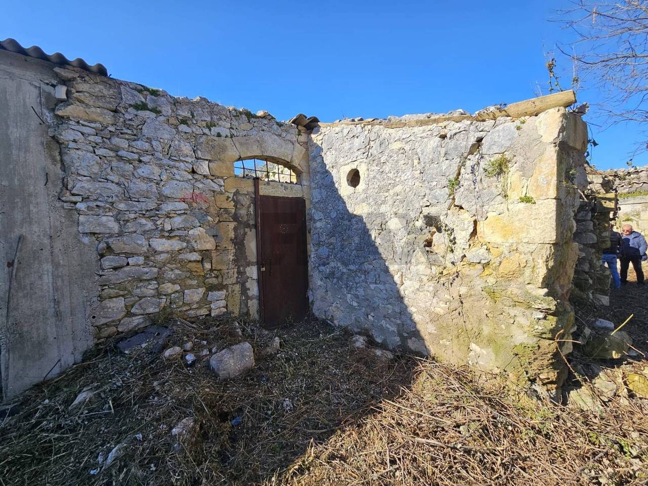 immagine annuncio 6 di 11