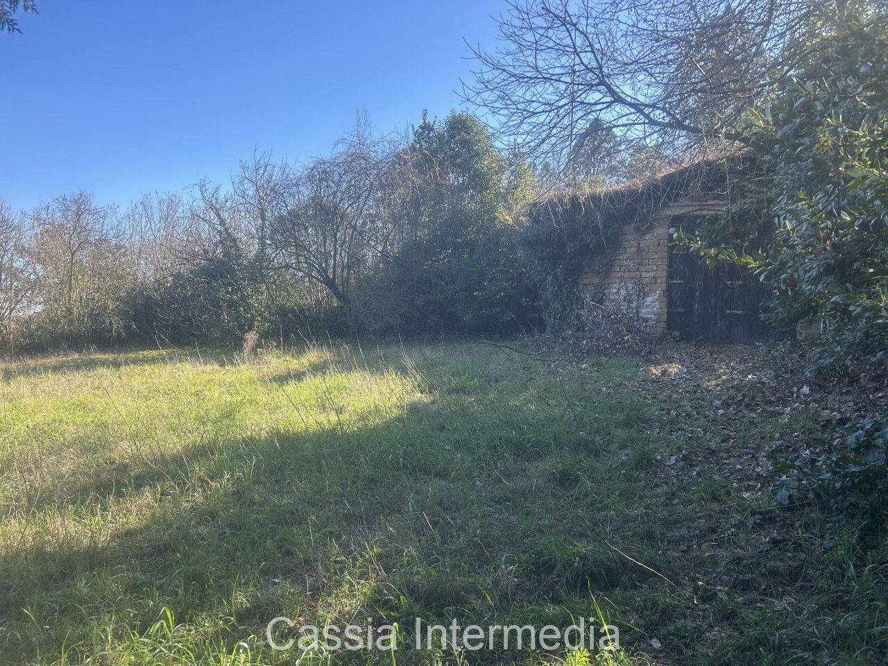 immagine annuncio 2 di 14